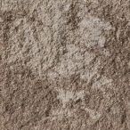 piaskowiec brązowy
